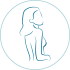 Shoulder Pain Icon